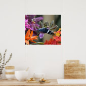 トロピカルブルーバタフライポスター ポスター (キッチン)