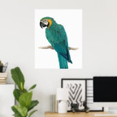 トロピカルブルーマコーハンドドローイラストレーションポスター ポスター (ホームオフィス)