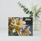 トロピカルプルメリアフラギパニの花フローラルアロハ ポストカード (スタンド正面)