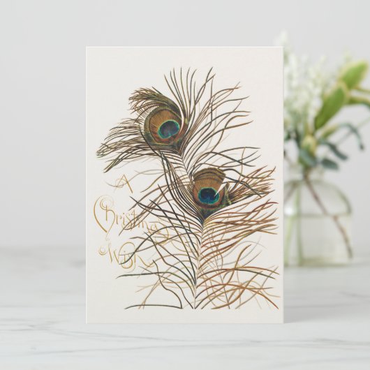 トロピカルホリデーカードを持つクリスマスの願い シーズンカード (スタンド正面)