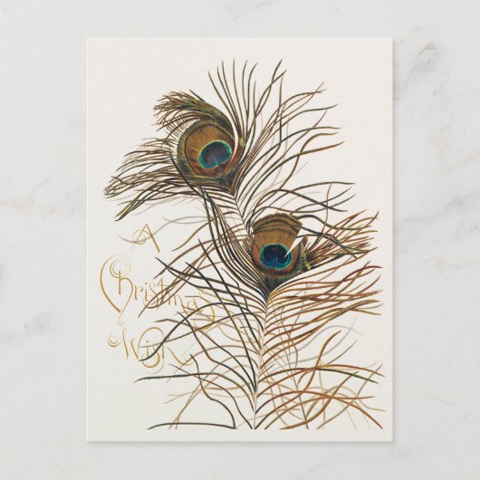 トロピカルホリデーカードを持つクリスマスの願い シーズンポストカード (正面)