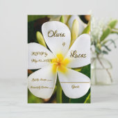 トロピカルホワイトフローラ – 新着情報 – RSVP 招待状 (スタンド正面)