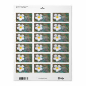 トロピカルホワイトプルメリアフラワーフランジパニ ラベル (フルシート)