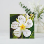 トロピカルホワイトプルメリア – 新着情報 – RSVP 招待状 (スタンド正面)