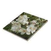 トロピカルホワイトベゴニアフローラ タイル (側面)