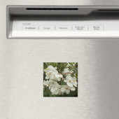 トロピカルホワイトベゴニアフローラ マグネット (インサイチュ (食洗機))