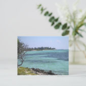 トロピカルポストカード ポストカード (スタンド正面)