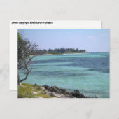 トロピカルポストカード ポストカード (正面/裏面)