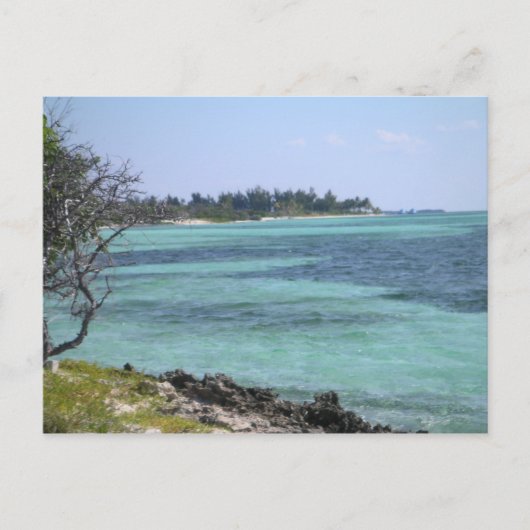 トロピカルポストカード ポストカード (正面)