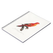 トロピカルマカオウム ノートブック (左側)