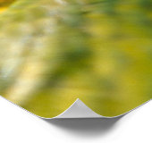 トロピカルマカオパロット ポスター (角)