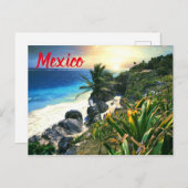 トロピカルメキシコビーチショアサンセットパームアイランド ポストカード (正面/裏面)