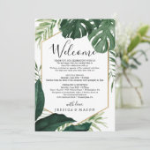 トロピカルモ結婚ンステラ歓迎の旅程レター プログラム (スタンド正面)