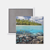トロピカルラグーンインサウスAri Atoll マグネット (正面/裏面)