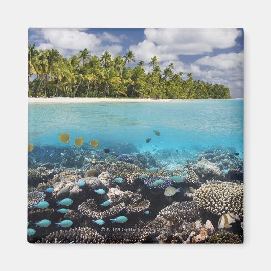 トロピカルラグーンインサウスAri Atoll マグネット (正面)