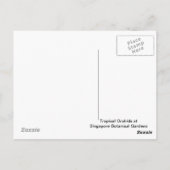 トロピカルラン開花 ポストカード (裏面)