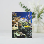 トロピカルリーフ3 ポストカード (スタンド正面)