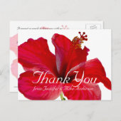 トロピカルレッドハイビスカスフラワーサンキュー ポストカード (正面/裏面)