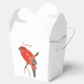 トロピカルレッドパロットサンダー_コーブ フェイバーボックス (オープン)