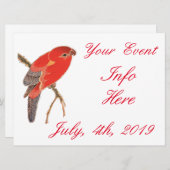 トロピカルレッドパロットフラワーサンダー_コーブ (正面/裏面)