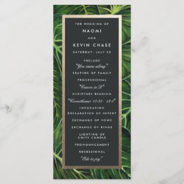 トロピカルロマンス プログラム