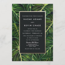 トロピカルロマンス