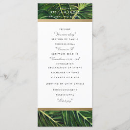 トロピカルロマンスII プログラム