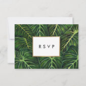 トロピカルロマンスII 出欠カード (裏面)