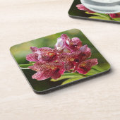 トロピカルヴァンダオーキッドクラスター コースター (左側)