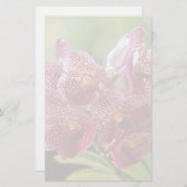 トロピカルヴァンダオーキッドクラスタ 便箋 (正面/裏面)