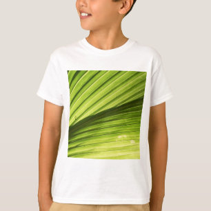 トロピカル地方 Tシャツ