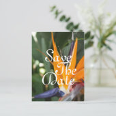 トロピカル日付はがきを保存 案内ポストカード (スタンド正面)