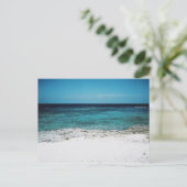 トロピカル注視ポストカード ポストカード (スタンド正面)