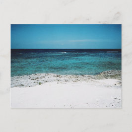 トロピカル注視ポストカード ポストカード