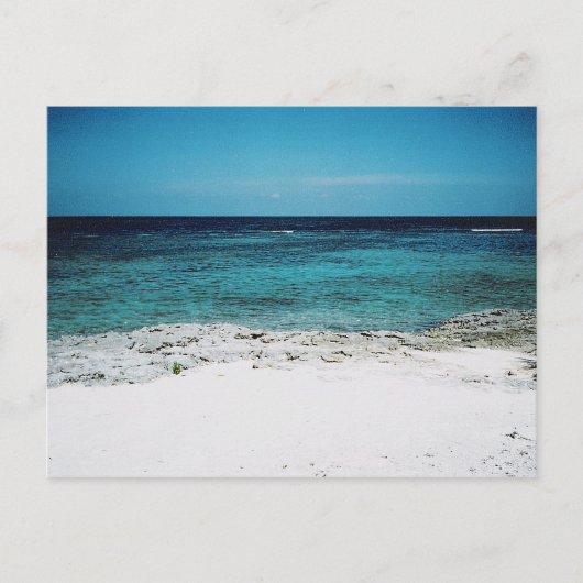 トロピカル注視ポストカード ポストカード (正面)