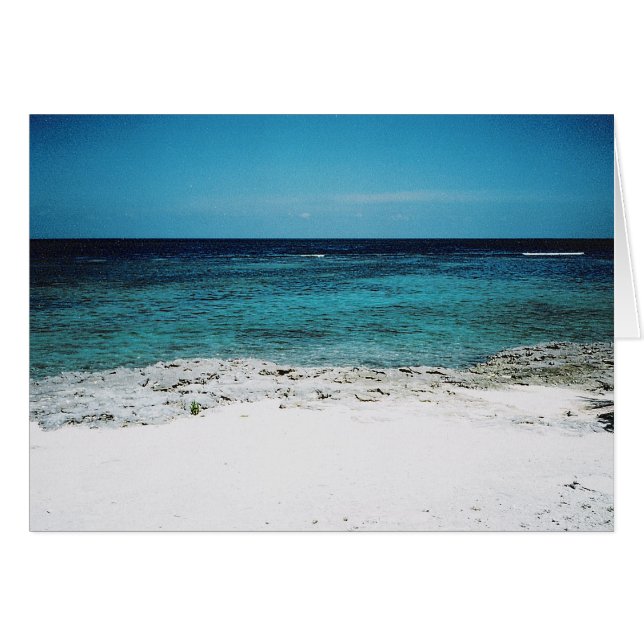 トロピカル注視 (正面横)