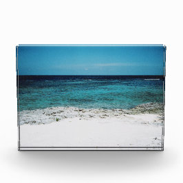 トロピカル注視 フォトブロック