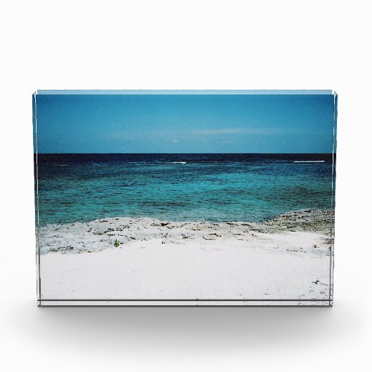 トロピカル注視 フォトブロック (正面)