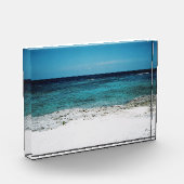 トロピカル注視 フォトブロック (左)