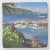 トロピカル海ストーンコースター ストーンコースター (正面)