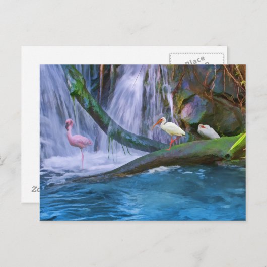 トロピカル滝のポストカード ポストカード (正面/裏面)