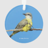 トロピカル素晴らしキングバードオンブラックベリーブランチ オーナメント (裏面)