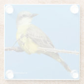 トロピカル素晴らしキングバードオンブラックベリーブランチ ガラスコースター (裏面)