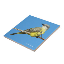 トロピカル素晴らしキングバードオンブラックベリーブランチ タイル