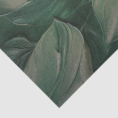 トロピカル離れティッシュペーパーテクスチャ 薄葉紙 (詳細)