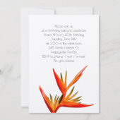 トロピカル オレンジ バード・オブ・パラダイス ご招待 招待状 (正面)