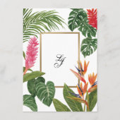 トロピカル・ドリーム エンクロージャーカード (裏面)