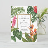 トロピカル・ドリーム 招待状 (スタンド正面)