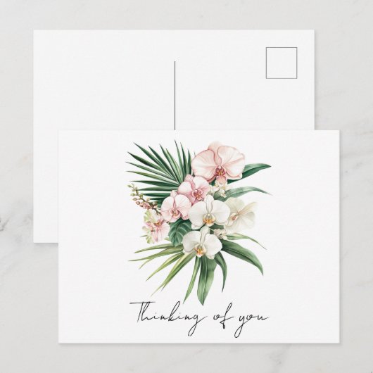 トロピカル ピンクのラン花 ポストカード (正面/裏面)