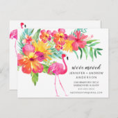 トロピカル・ピンク・フラミンゴの動く発表 案内ポストカード (正面/裏面)